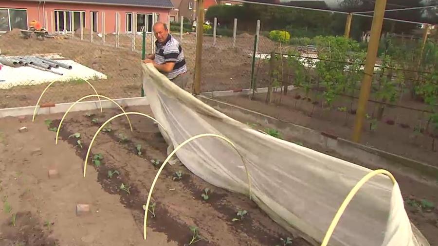AAN DE SLAG IN DE MOESTUIN