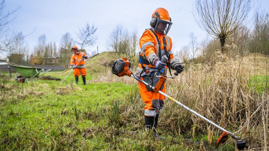 Groendienst Antwerpen: pioniers in stedelijke vergroening