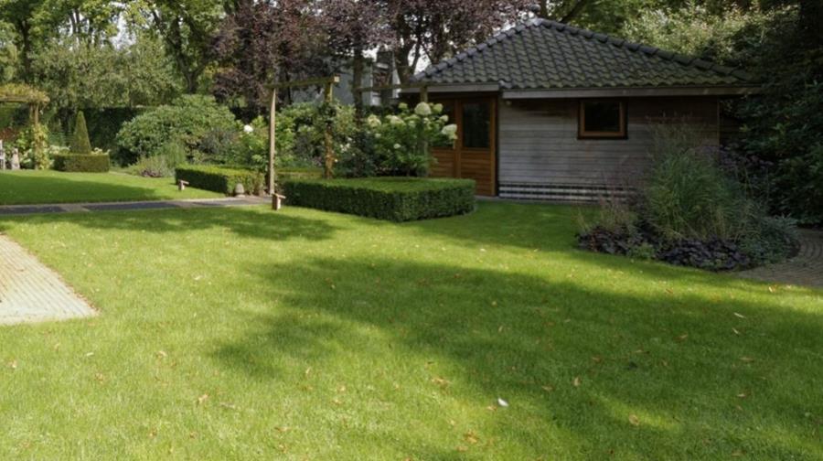 Tout sur la pelouse