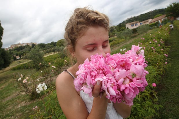 Le parfum des roses améliore l'apprentissage durant tout le sommeil