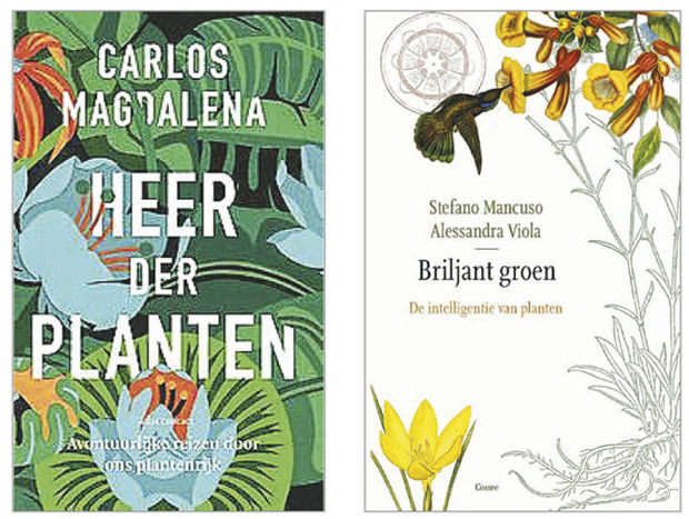 Nog meer nieuws van de Boekenbeurs: planten zijn intelligent