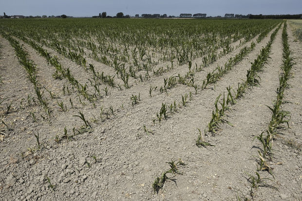 Wat zijn de gezondheidseffecten van wonen dichtbij landbouw?