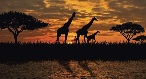 Veilig de hort op met Wanda