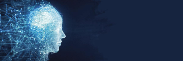 Wij en onze hersenen