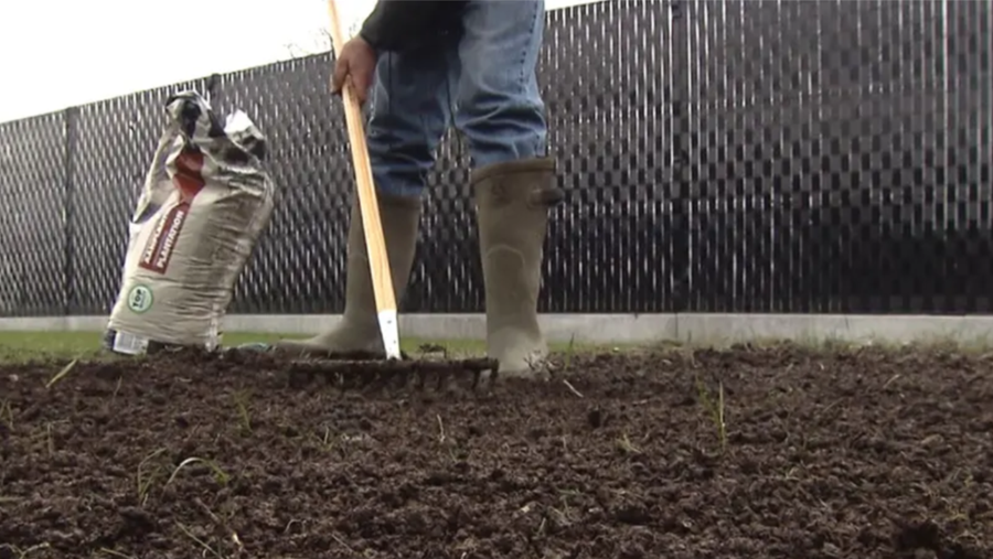Nieuw gazon aanleggen