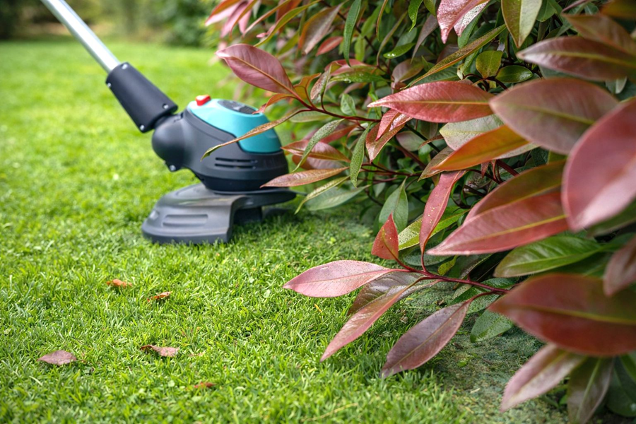 Hoe kies je een grastrimmer?