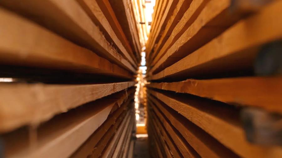 L'AFSCA lance des inspections chez les grossistes en bois et écorce